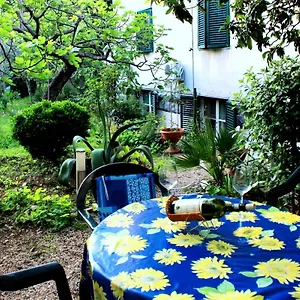 With Garden - Zuvan Split